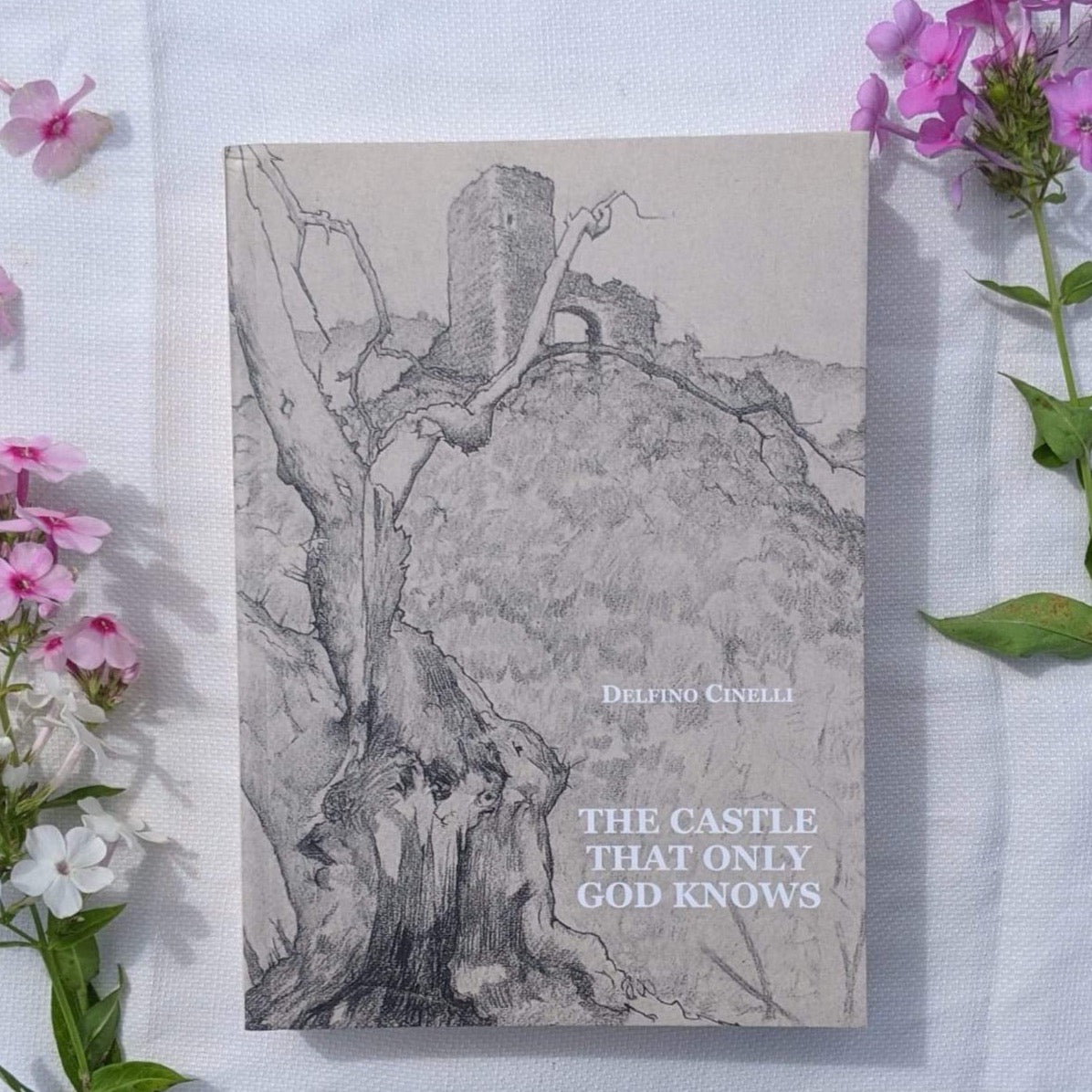 The Castle that Only God Knows, by Delfino Cinelli