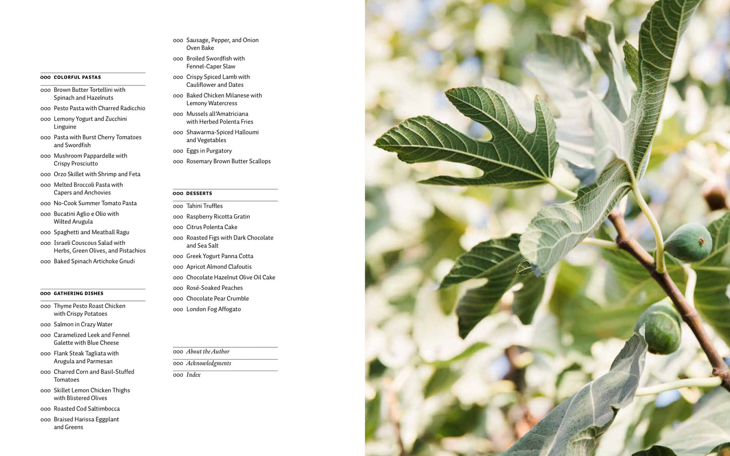 Table of Contents from Mediterranean Every Day