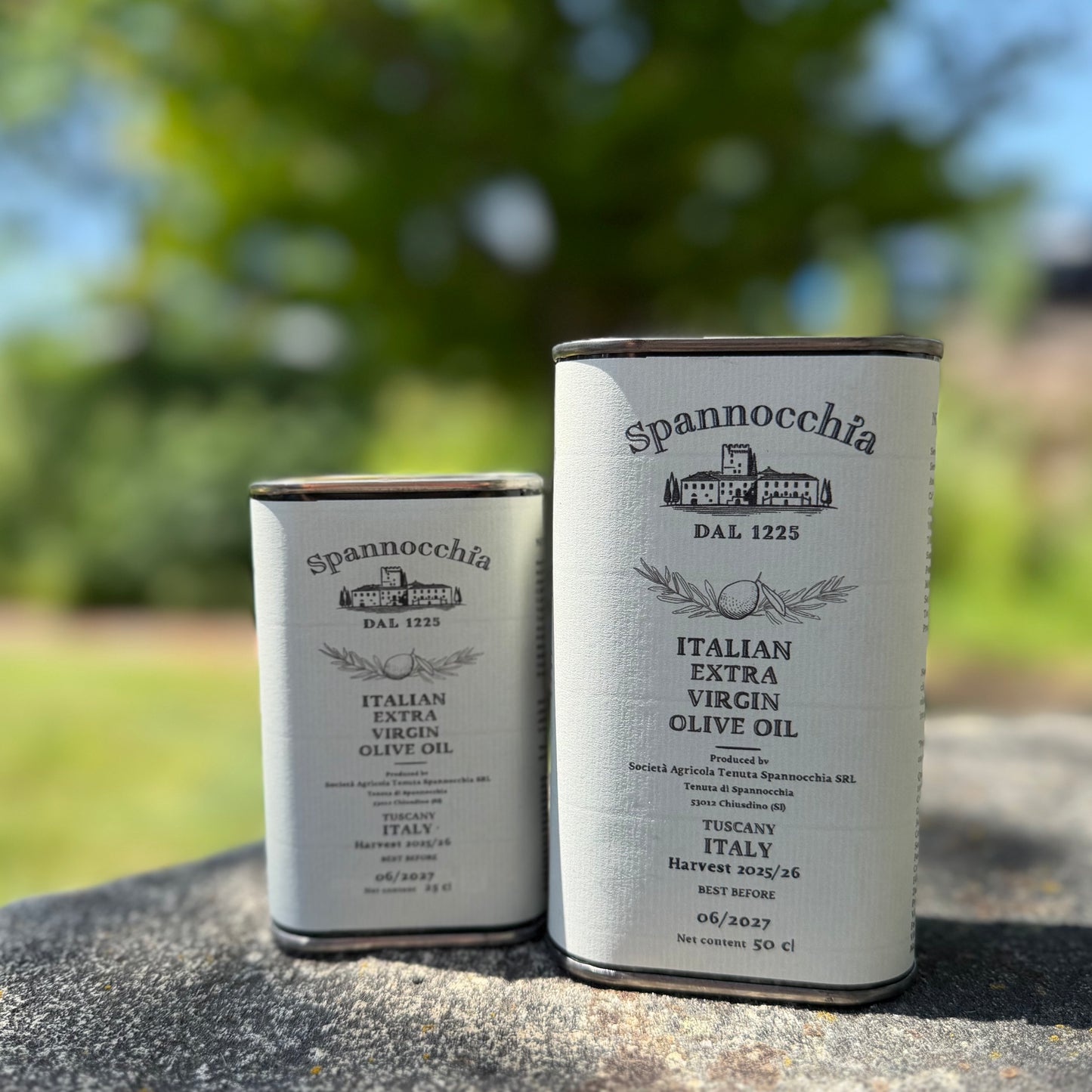 Two cans of Spannocchia olive oil, one large and one small, stand side-by-side on a rustic stone surface with blurred greenery in the background.